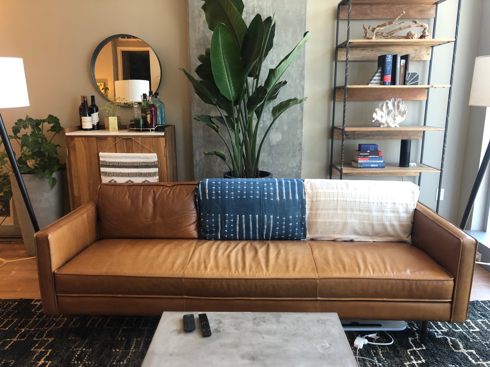 Bird of paradise plant next to styled bookshelf